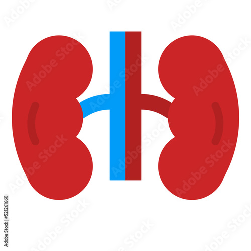 kidney