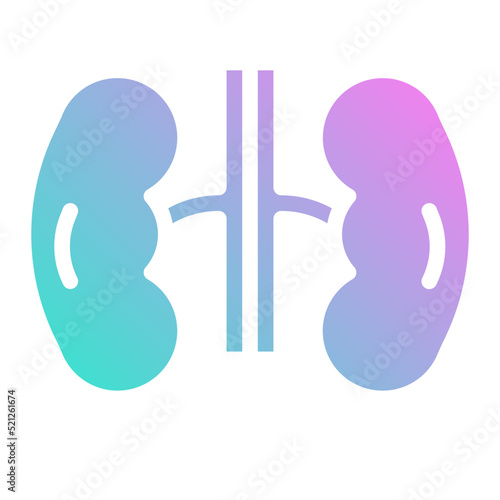 kidney