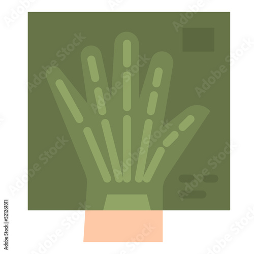 radiography