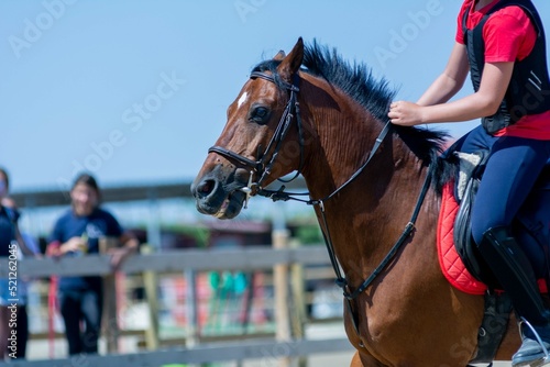 Little girl that rides a brown pony during Pony Game competition at the Equestrian School © daniele russo