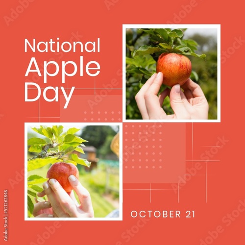 Composite of national apple day, october 18 text and caucasian woman hands picking apples from tree