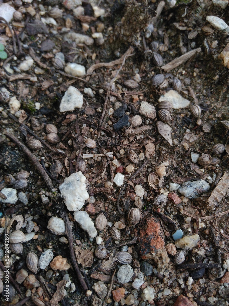 Loose aggregation of rock fragments, Gravel. Loose aggregation of rock fragments, Gravel.