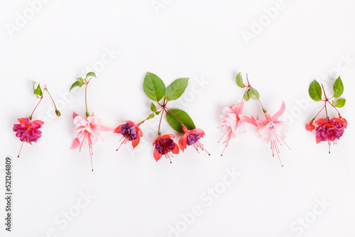 Flat lay holiday set with pink, purple fuchsia flowers on white background