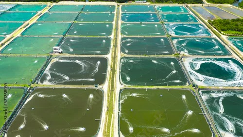 Aerial view of the prawn farm with aerator pump. Bohol, Philippines. Ponds for shrimp farming. photo