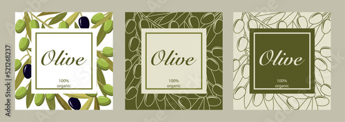 Vector collection of three cards with black and green olives. Design for olive oil, olive packaging, natural cosmetics, healthcare products
