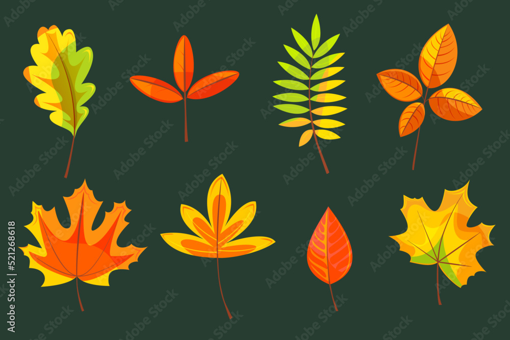 Set of autumn leaves, flat design