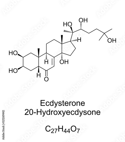 Ecdysterone, chemical formula and structure. 20-Hydroxyecdysone, 20E, one of the most common molting hormones in insects. Used in bodybuilding as steroid hormone to enhance the physical performance.