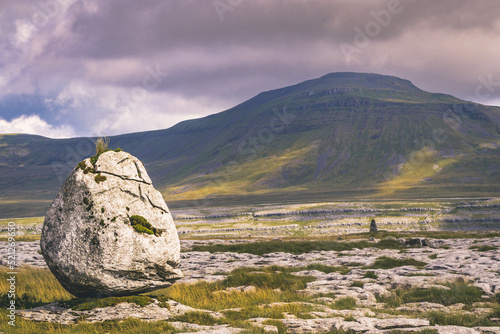 Walking along the Pennine Bridleway above Twistleton Scar between Chapel le Dale and Ingleton in thye Yorkshire Dales photo