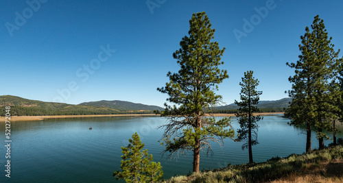 Trees Beside California Reservoir Water photo
