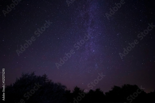 starry night sky with Milky Way galaxy above trees