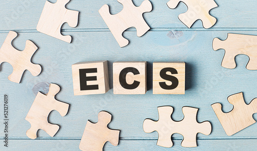Blank puzzles and wooden cubes with the text ECS Electronic Clearing Service lie on a light blue background.