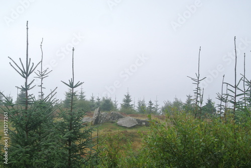 Isle of Arran, Scotland, United Kingdom