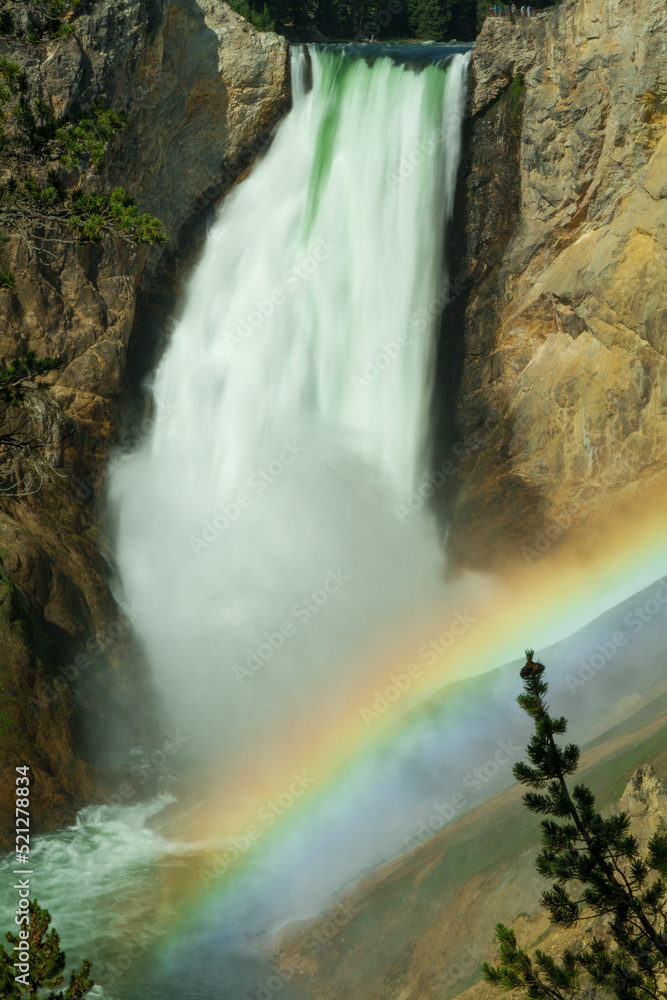 Lower Yellowstone Falls with Rainbow