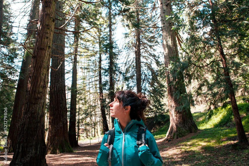 Female traveler exploring forest Female traveler exploring forest