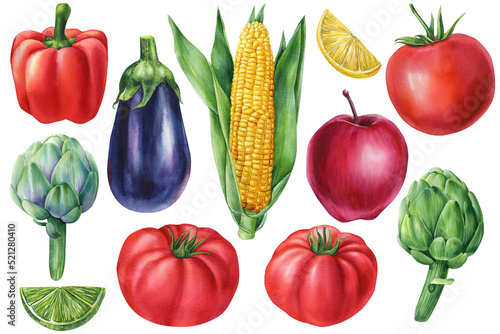 Set of vegetables  on isolated white background  watercolor illustration  autumn harvest