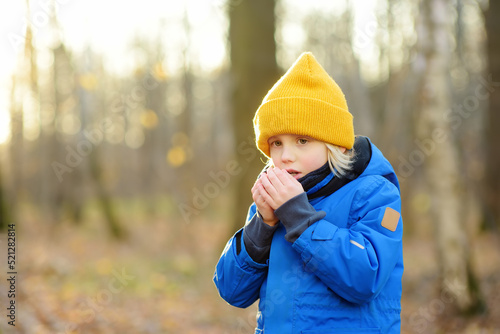 Fotografia Child warming froze hands during walk in the forest on a cold autumn day
