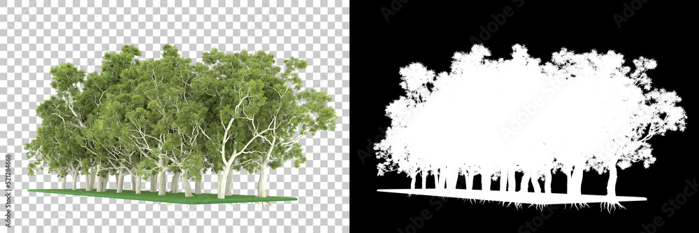 Forest isolated on background with mask. 3d rendering - illustration Forest isolated on background with mask. 3d rendering - illustration