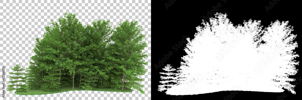 Obraz premium Forest isolated on background with mask. 3d rendering - illustration