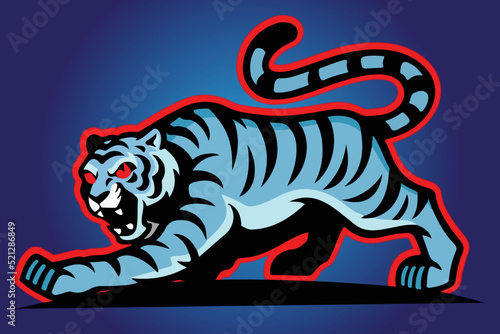 Tiger Blue Tiger Tiger Attack © Gul
