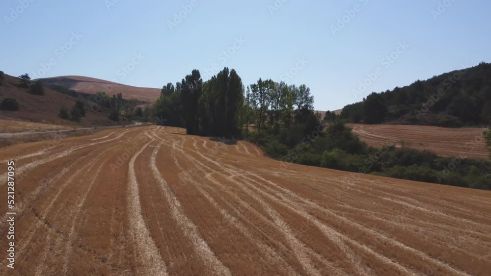 Between golden fields and green trees Between golden fields and green trees