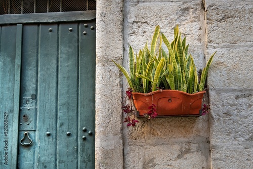 porta antiga pintada de verde em fachada com vaso de plantas pendurado