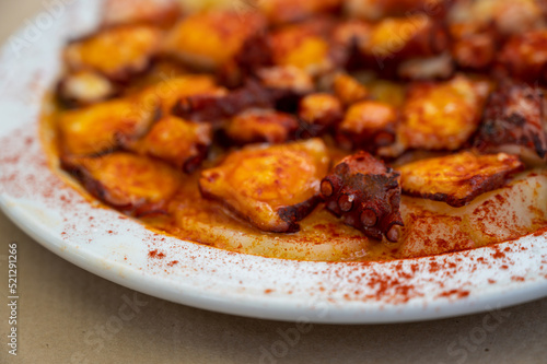 Tasty seafood, grilled octopus galician style with red pimento paprika and potatoes