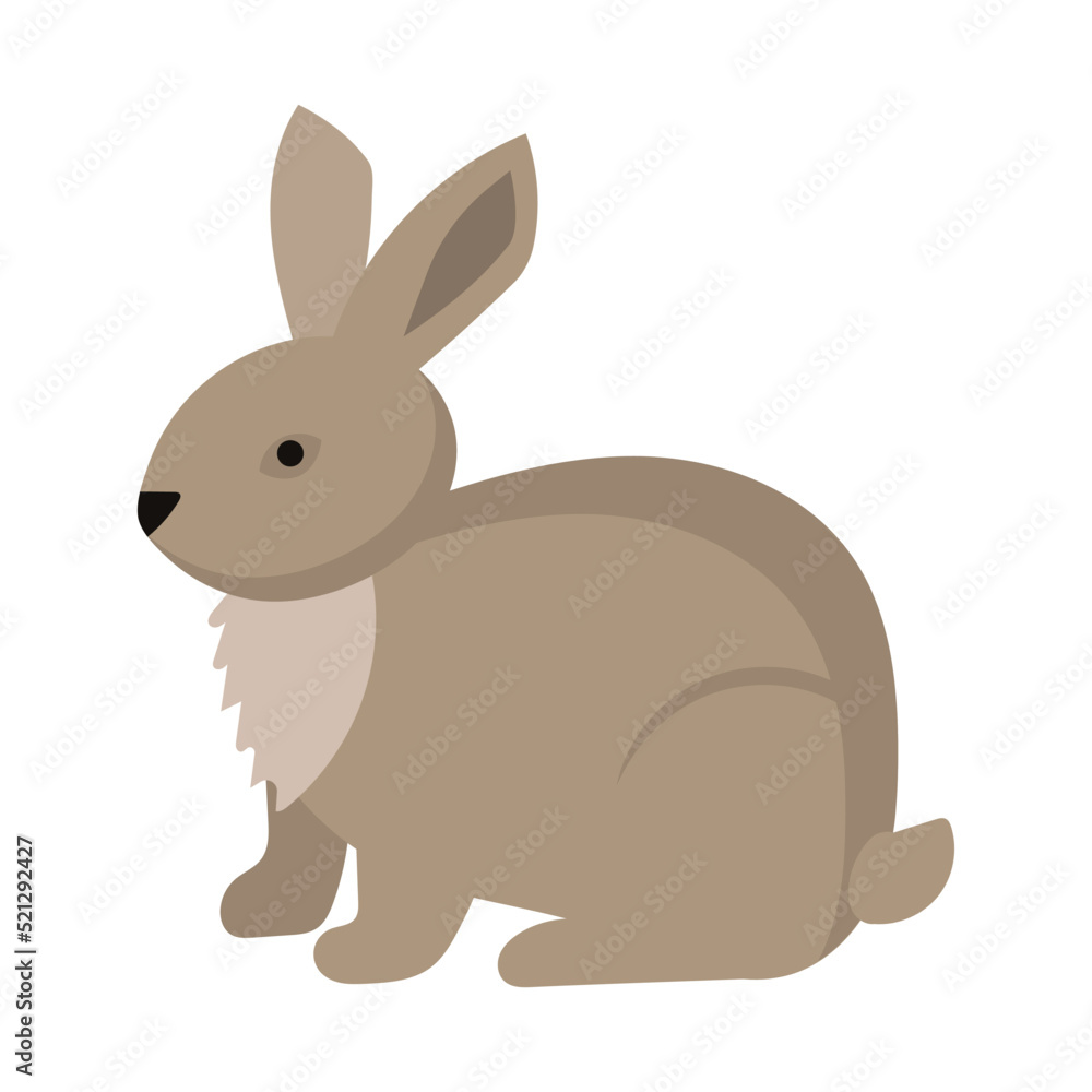 Rabbit or hare cartoon bunny pet. Animal icon and farm breed easter. Rodent isolated white vector illustration and adorable furry animal. Drawing wildlife and zoo rabbit sign fauna Rabbit or hare cartoon bunny pet. Animal icon and farm breed easter. Rodent isolated white vector illustration and adorable furry animal. Drawing wildlife and zoo rabbit sign fauna