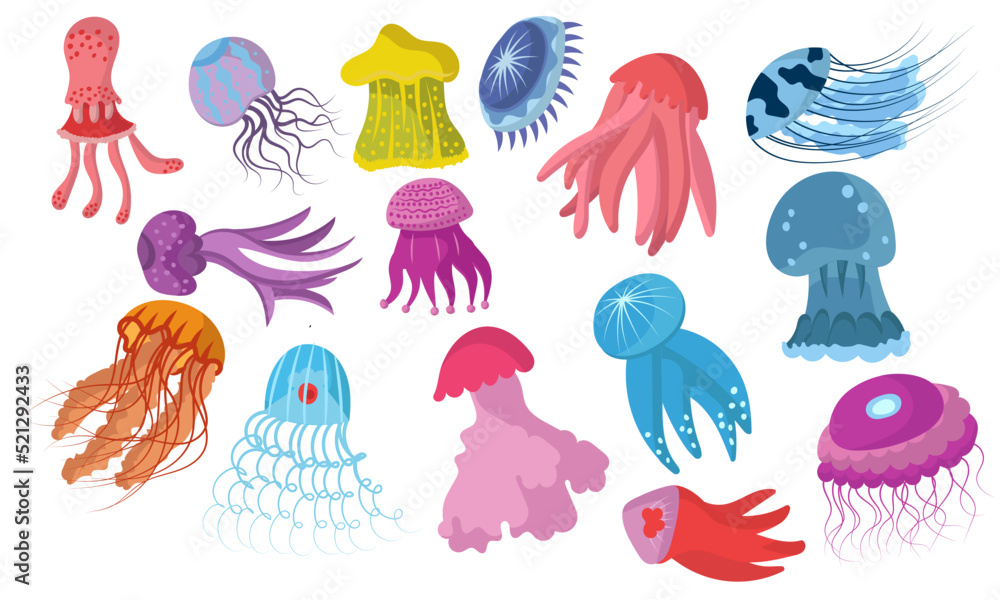 Jellyfish cartoon isolated medusa and biology jelly fish. Purple marine ...