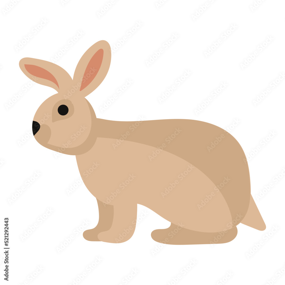 Fototapeta premium Rabbit or hare cartoon bunny pet. Animal icon and farm breed easter. Rodent isolated white vector illustration and adorable furry animal. Drawing wildlife and zoo rabbit sign fauna