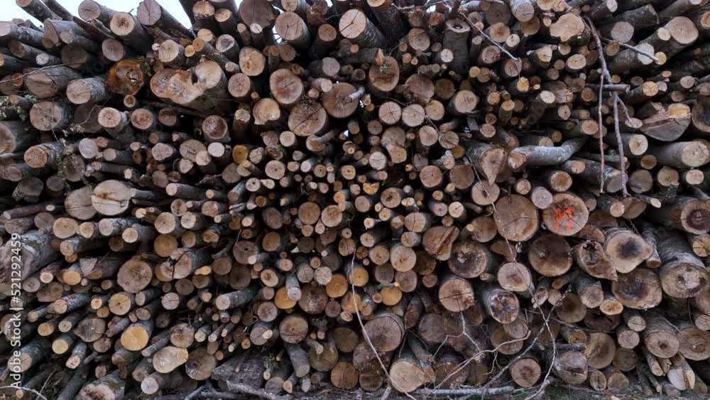 Logging of wood from the beech forest in San Martin de Losa. Losa Valley. The Meringues. Burgos. Castile and Leon. Spain. Europe Logging of wood from the beech forest in San Martin de Losa. Losa Valley. The Meringues. Burgos. Castile and Leon. Spain. Europe