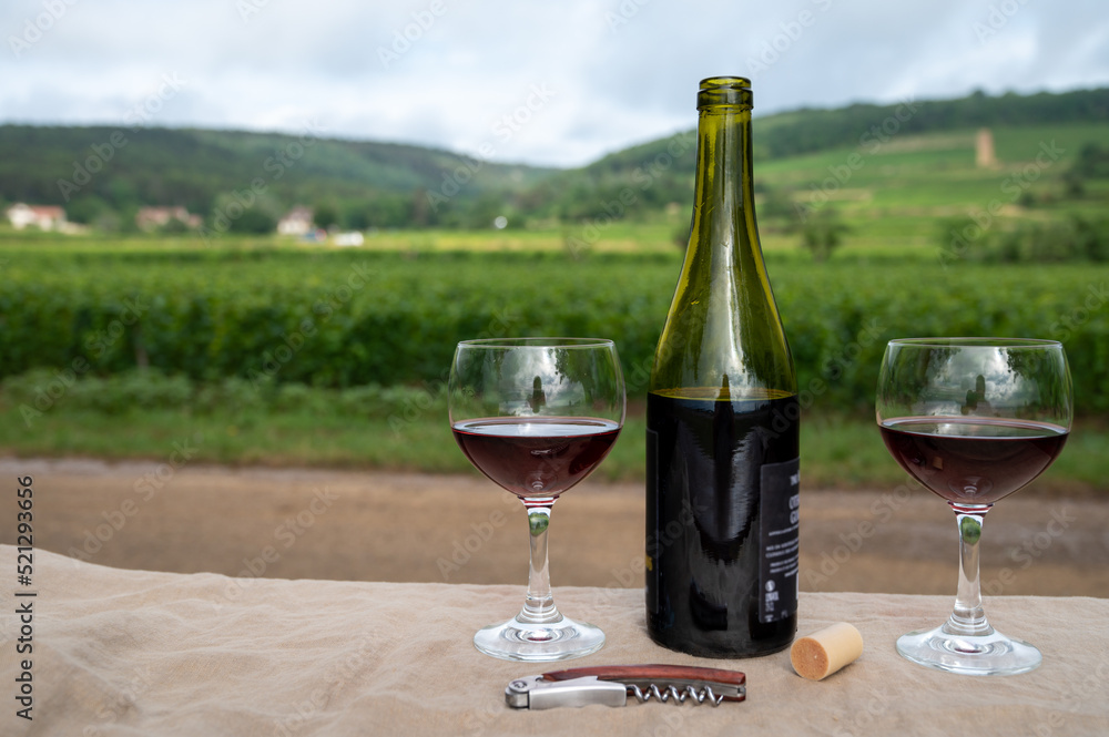 Tasting of red dry pinot noir wine in glass on premier and grand cru vineyards in Burgundy wine making region near Vosne-Romanée village, France