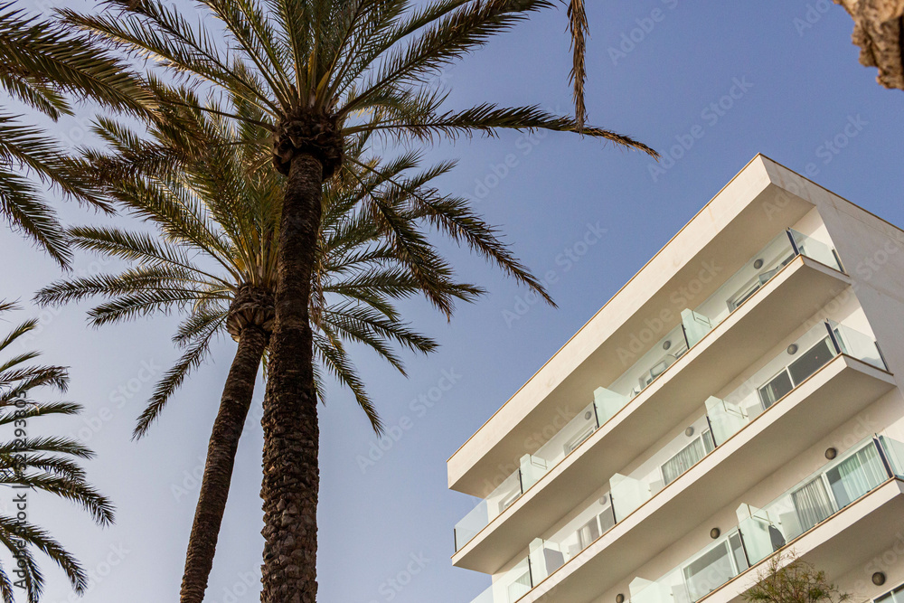 Fototapeta premium trees in front of a building