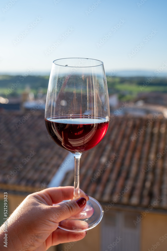 Wine tour with tasting of red dry wine and view on roofs of medieval houses in Châteauneuf-du-Pape ancient wine making village in France
