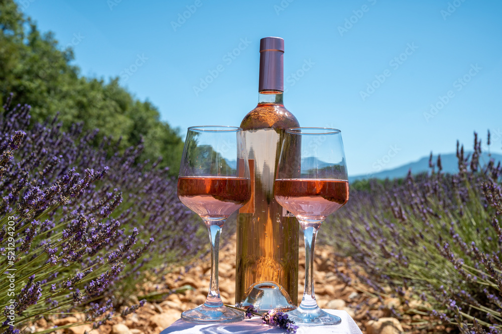 Lavender flowers fields in blossom near Valensole in Provence and glass and bottle of rose wine in sunny day, summer vacation in Provence, France