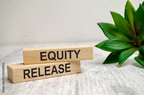 Equity Release words on wooden blocks and plant