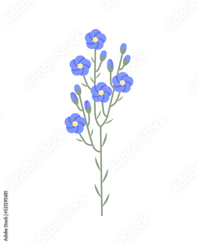 Flax plant. Blue flowers on leafy stem. Vector flat color illustration isolated on white background.