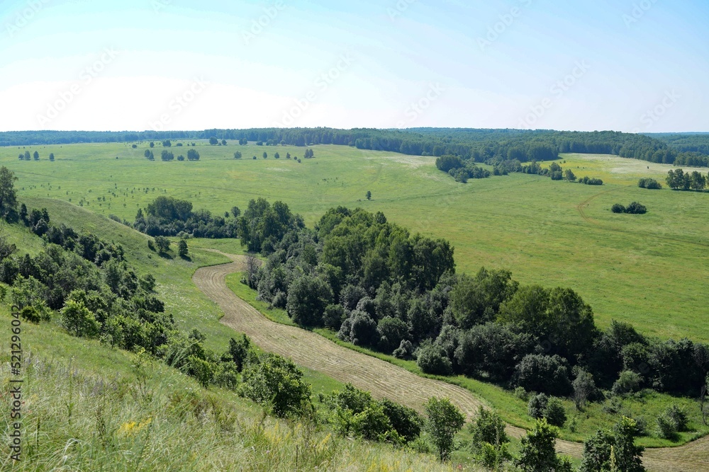 In a clearing near the forest there is a large mown strip of grass on a summer day