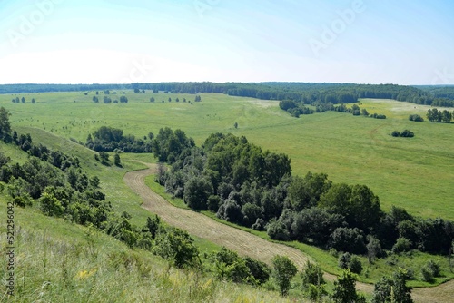 In a clearing near the forest there is a large mown strip of grass on a summer day