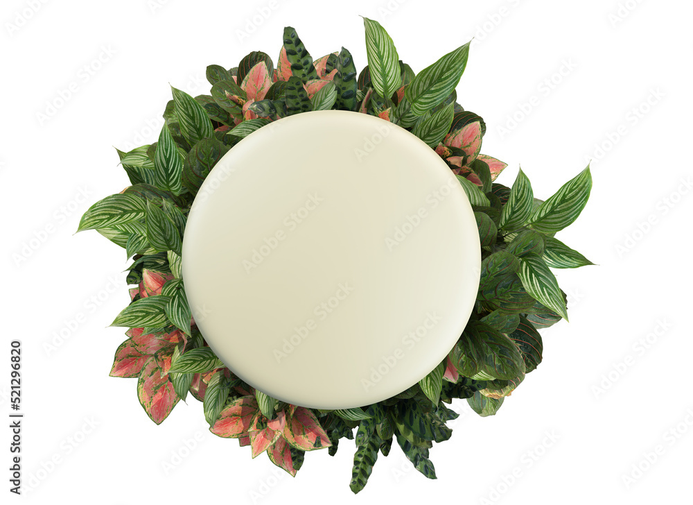 Fototapeta premium Signs decorated with plants on a white background.
