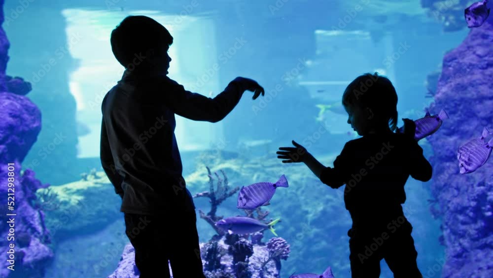 marine fish swim in a large aquarium, happy children watch underwater worlds in oceanarium marine fish swim in a large aquarium, happy children watch underwater worlds in oceanarium