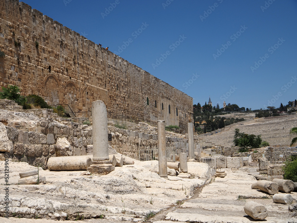 Obraz premium Davidson Center Archaeological Park