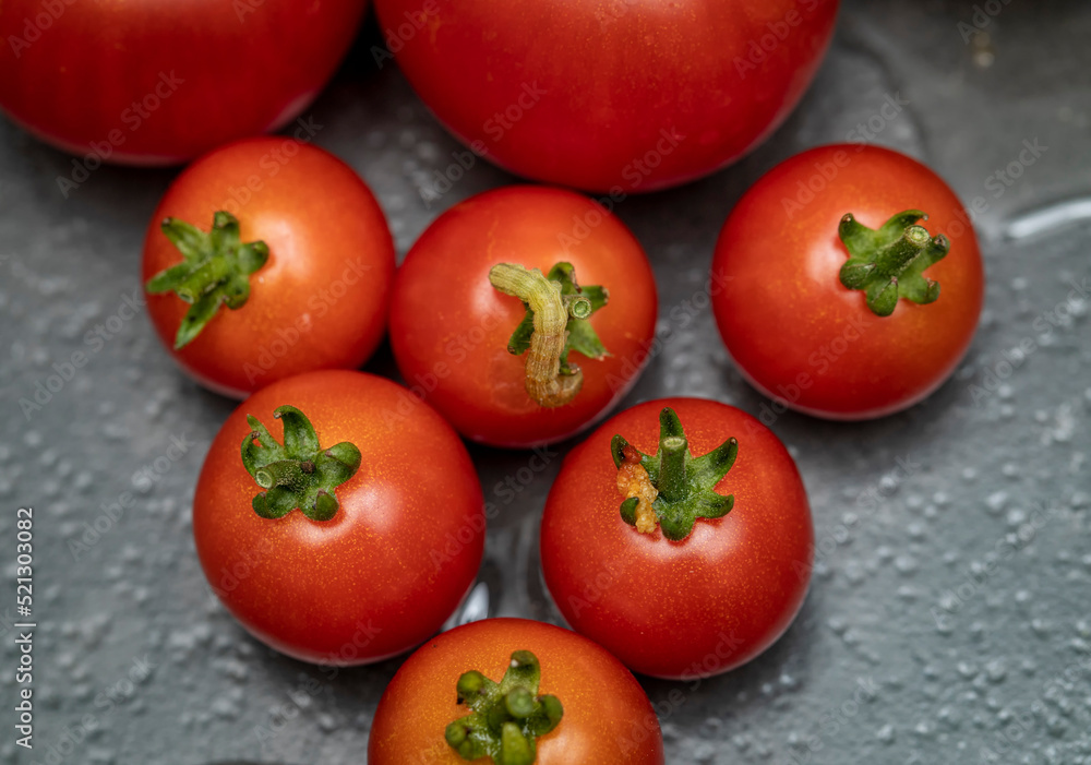 Close up of a tomato worm on a cherry tomato within a group of cherry tomatoes Close up of a tomato worm on a cherry tomato within a group of cherry tomatoes