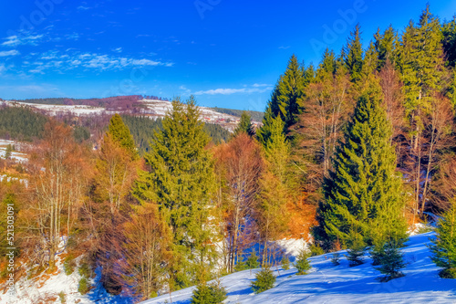 View over landscape covered with snow during sunny winter day.