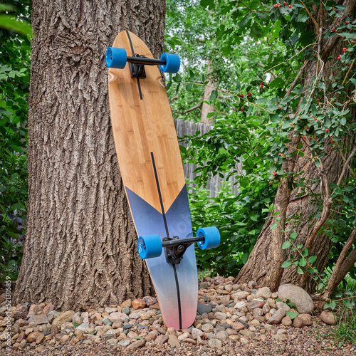 cruising wooden longboard against oak tree in a park or backyard, recreation concept photo