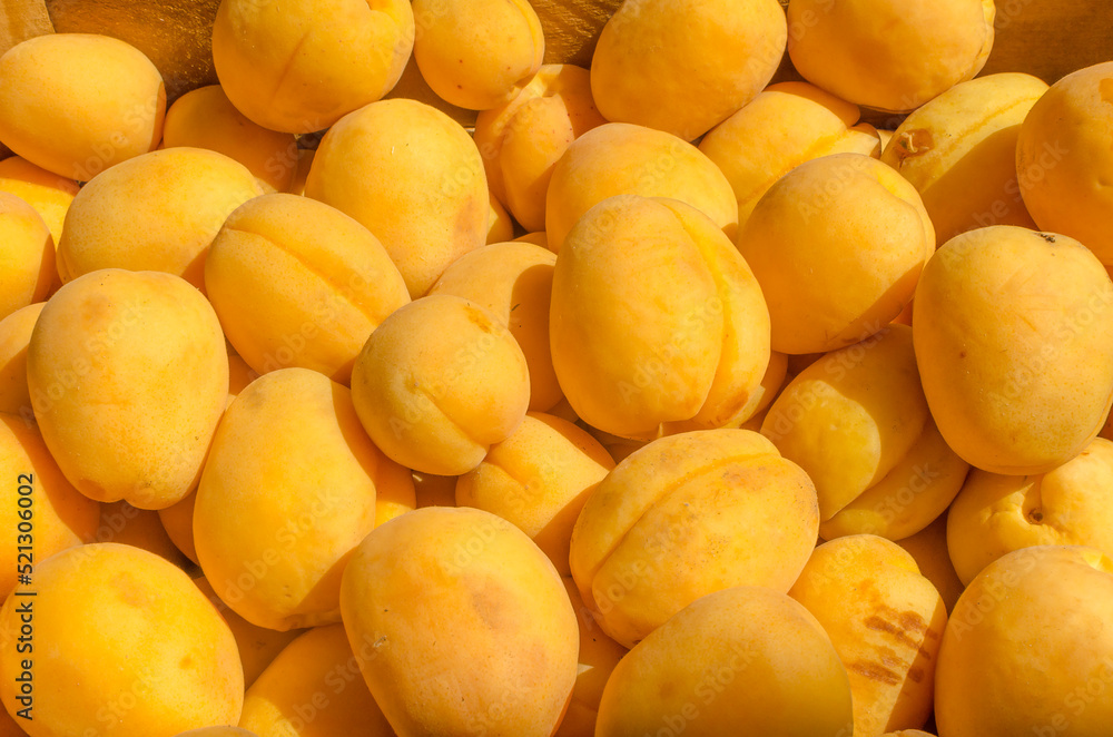 Ripe fresh yellow apricot pattern background Ripe fresh yellow apricot pattern background