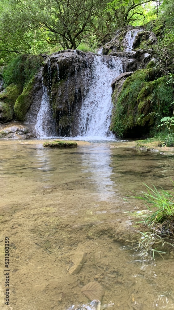 Naklejka premium waterfall in the forest