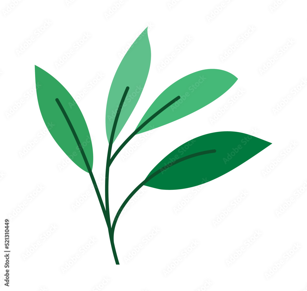 Obraz premium branch tree image