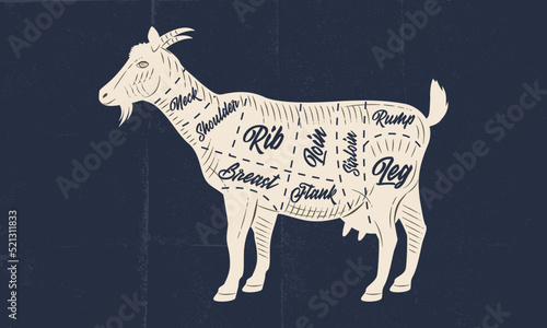 Goat meat chart. Butchery poster with goat meat cuts and paper craft texture. Vintage butcher meat diagram. Vector illustration