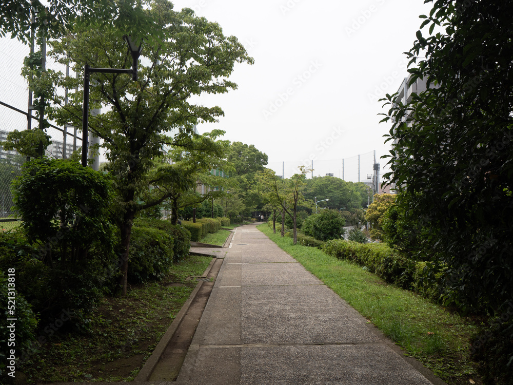 path in the park