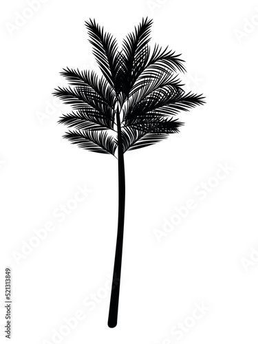 palm silhouette illustration © grgroup